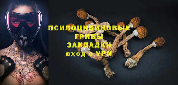 меф Бородино